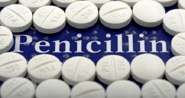 Penicillin trị viêm phổi do phế cầu